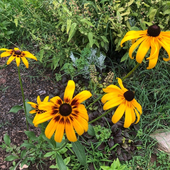 Meet your Posher, Sonya - Picture 10 of 14